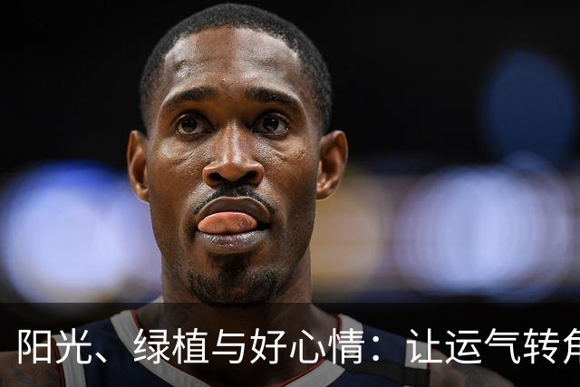 阳光、绿植与好心情：让运气转角的秘密